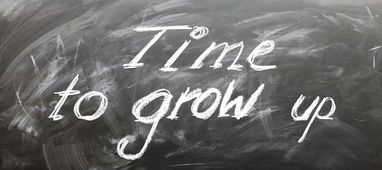 学黑客的最佳年龄揭秘：青少年到成年人的黄金学习期与避坑指南  第3张