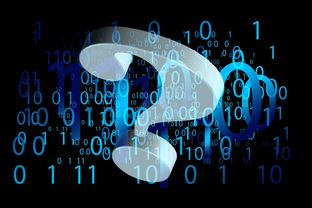 黑客一天挣1万：合法白帽黑客如何通过网络安全技能实现高收入  第3张