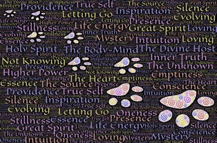 非安全黑客手册2006：网络安全入门与实战指南，轻松掌握渗透测试与防御技巧  第2张