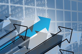 黑客一个月多少工资？揭秘不同类型黑客的真实收入与合法提升路径  第2张