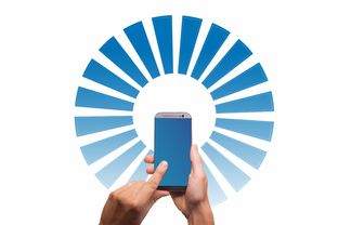 黑客去哪里雇？合法雇佣白帽黑客的完整指南，轻松解决系统安全测试难题  第2张