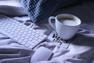 谁有黑客的qq群介绍个？揭秘网络灰色地带的风险与正规学习渠道  第2张