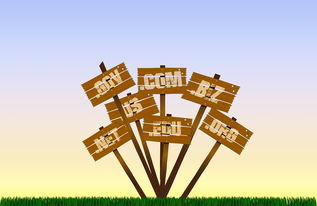 网络高手叫什么？揭秘IT高手的各种称呼与职业发展路径  第3张